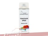 Spray Fissacolore 400 ml. SHOEMAGIC